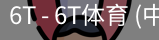 6T体育